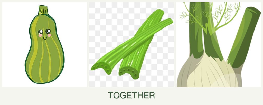 Can you plant zucchini, celery and fennel together?
