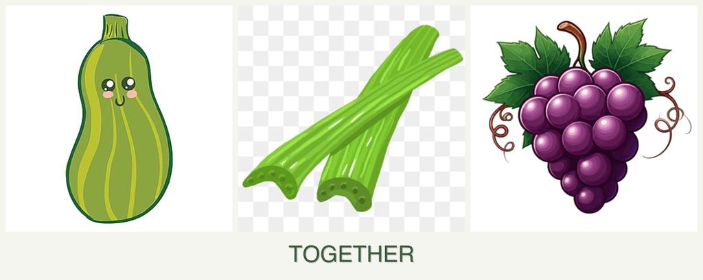 Can you plant zucchini, celery and grapes together?