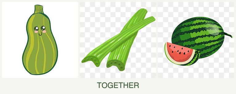 Can you plant zucchini, celery and melons together?