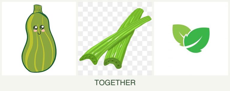 Can you plant zucchini, celery and mint together?