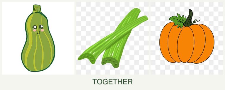 Can you plant zucchini, celery and pumpkin together?
