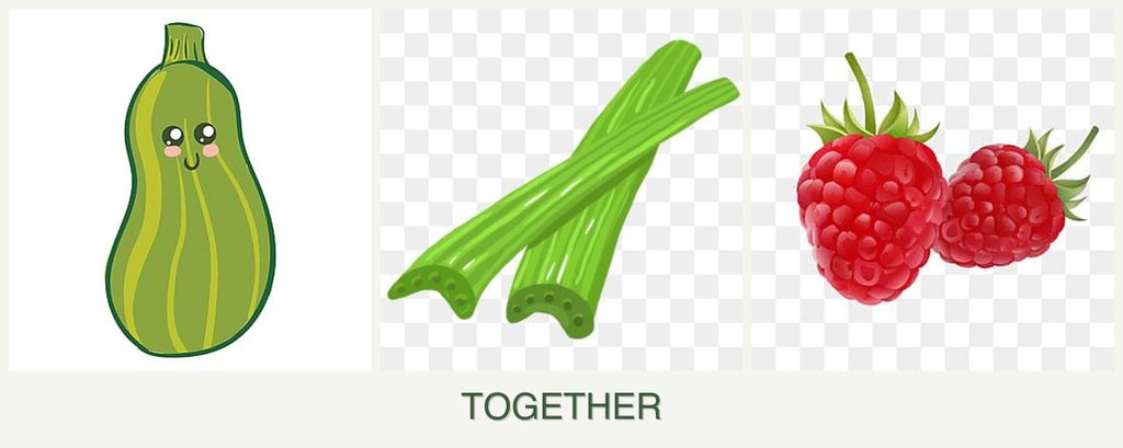 Can you plant zucchini, celery and raspberries together?