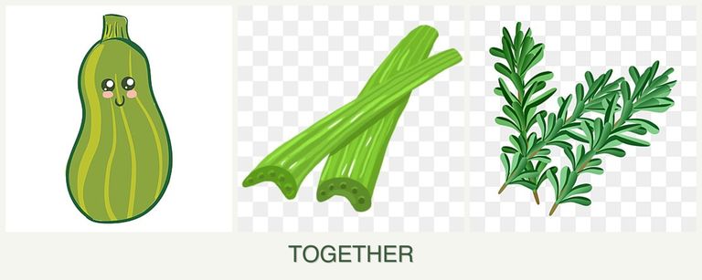 Can you plant zucchini, celery and rosemary together?