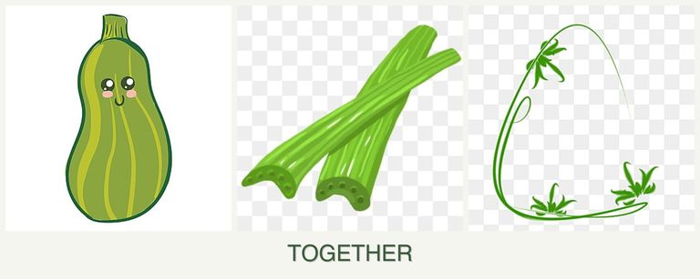 Can you plant zucchini, celery and tarragon together?