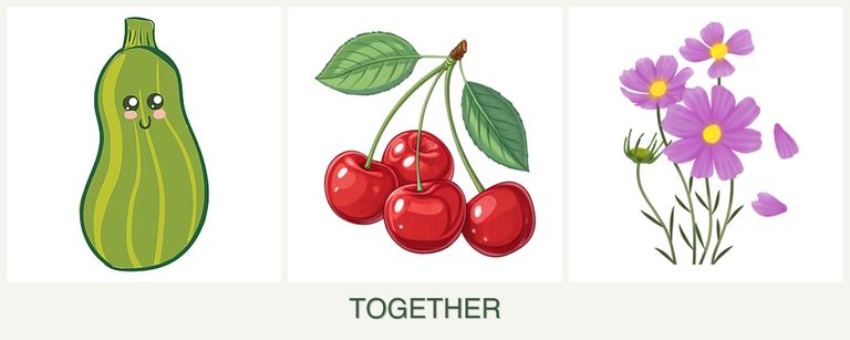Can you plant zucchini, cherries and cosmos together?