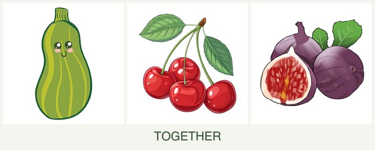 Can you plant zucchini, cherries and figs together?