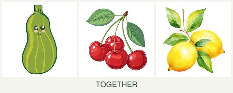 Can you plant zucchini, cherries and lemons together?