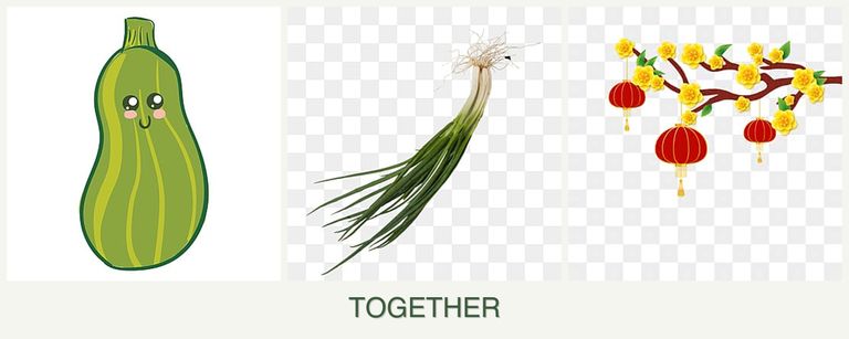 Can you plant zucchini, chives and apricots together?