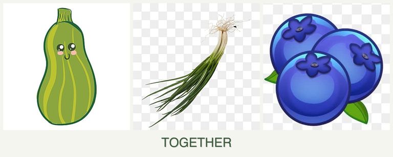 Can you plant zucchini, chives and blueberries together?