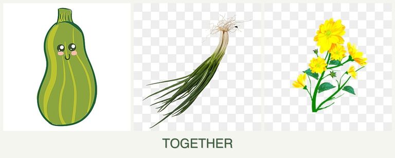 Can you plant zucchini, chives and calendula together?