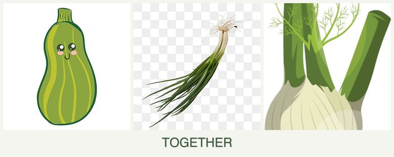 Can you plant zucchini, chives and fennel together?