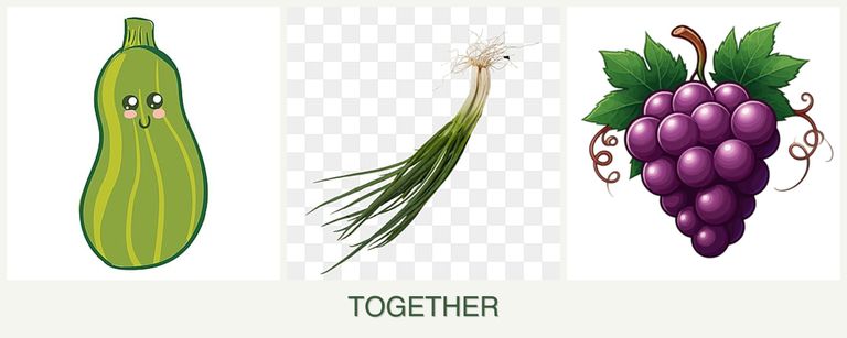 Can you plant zucchini, chives and grapes together?