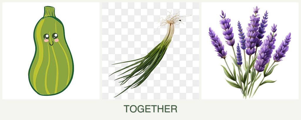 Can you plant zucchini, chives and lavender together?