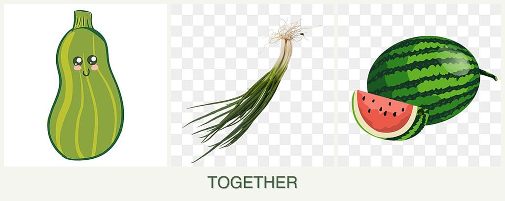Can you plant zucchini, chives and melons together?