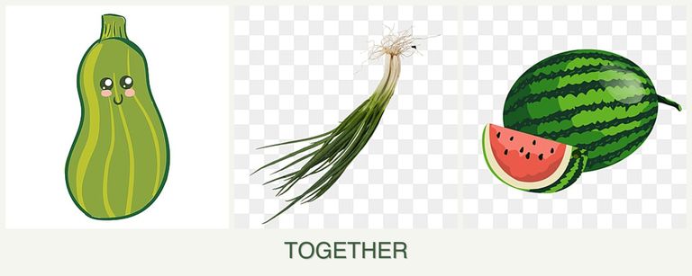 Can you plant zucchini, chives and melons together?