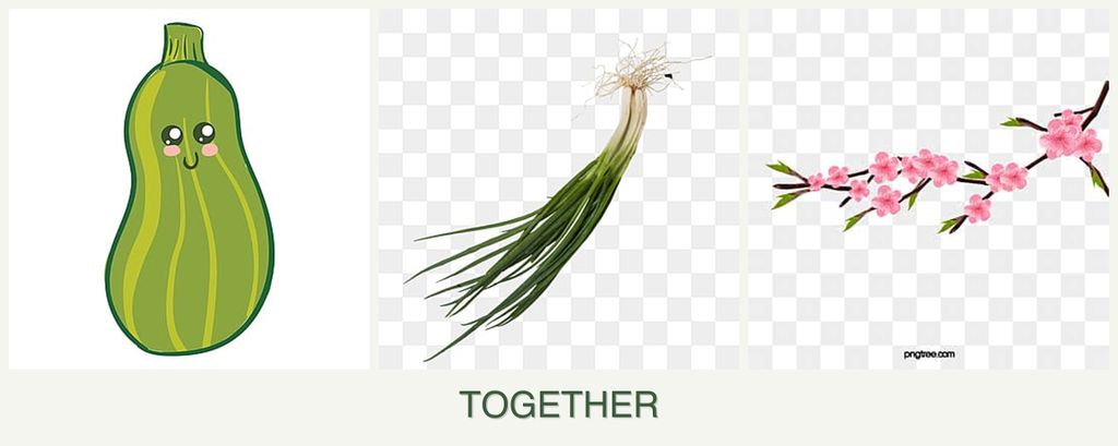 Can you plant zucchini, chives and peaches together?