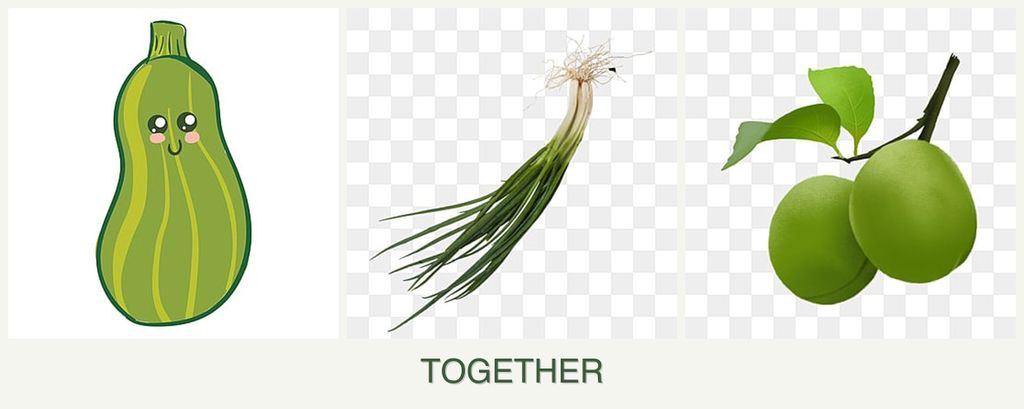 Can you plant zucchini, chives and plums together?