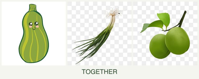 Can you plant zucchini, chives and plums together?