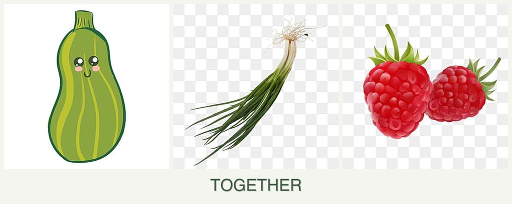 Can you plant zucchini, chives and raspberries together?
