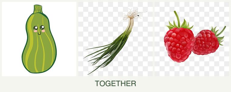 Can you plant zucchini, chives and raspberries together?
