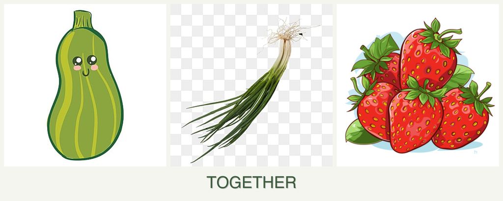 Can you plant zucchini, chives and strawberries together?