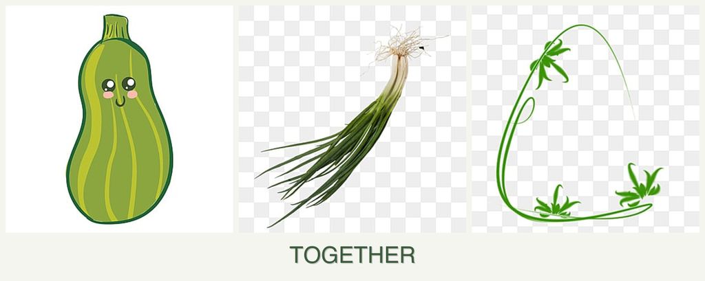 Can you plant zucchini, chives and tarragon together?
