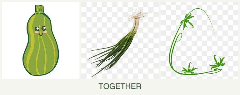 Can you plant zucchini, chives and tarragon together?