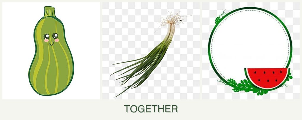 Can you plant zucchini, chives and watermelons together?