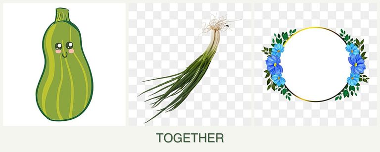 Can you plant zucchini, chives and zinnias together?