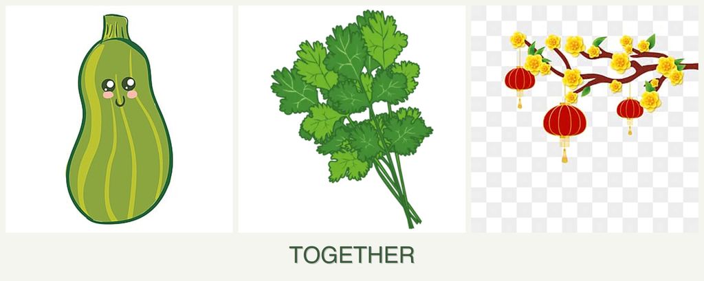 Can you plant zucchini, cilantro and apricots together?