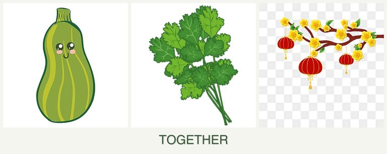 Can you plant zucchini, cilantro and apricots together?