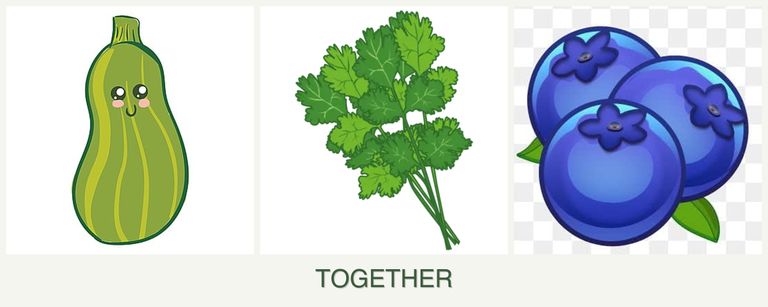 Can you plant zucchini, cilantro and blueberries together?