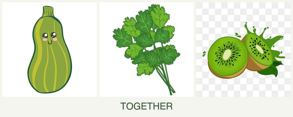 Can you plant zucchini, cilantro and kiwi together?