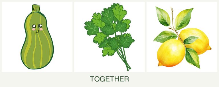 Can you plant zucchini, cilantro and lemons together?