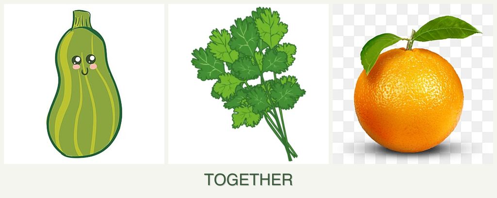 Can you plant zucchini, cilantro and oranges together?