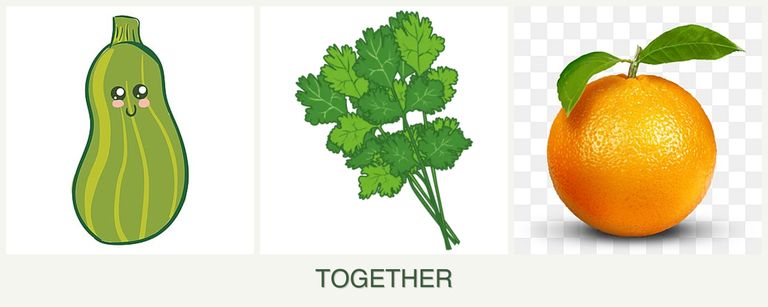 Can you plant zucchini, cilantro and oranges together?
