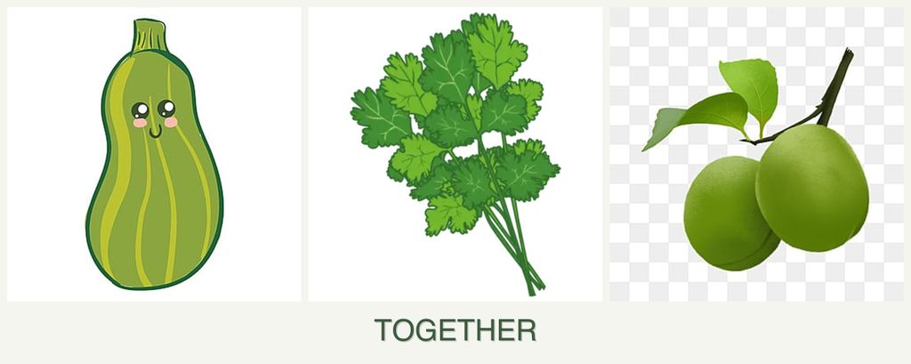 Can you plant zucchini, cilantro and plums together?