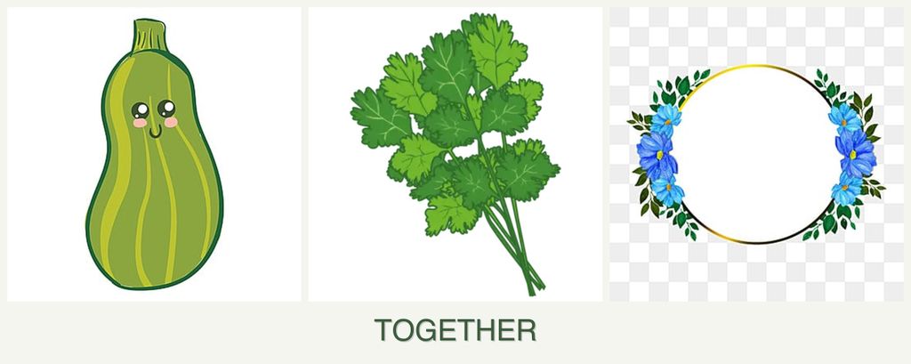 Can you plant zucchini, cilantro and zinnias together?