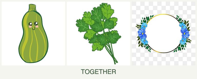 Can you plant zucchini, cilantro and zinnias together?