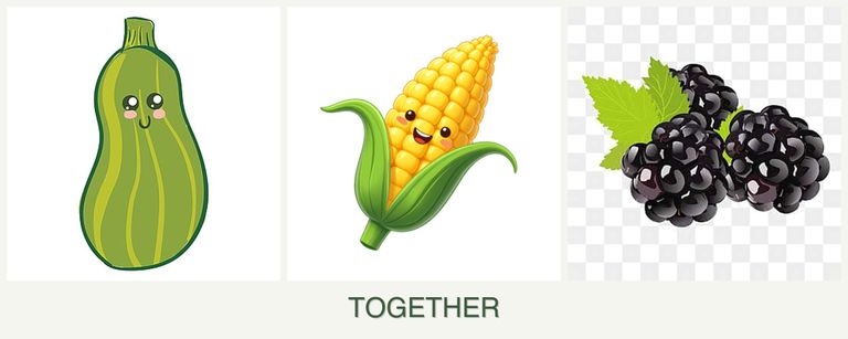 Can you plant zucchini, corn and blackberries together?
