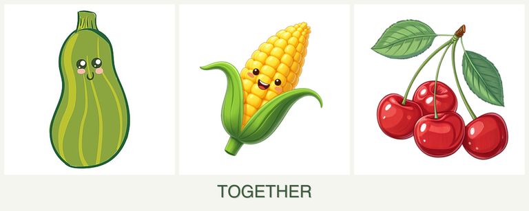 Can you plant zucchini, corn and cherries together?