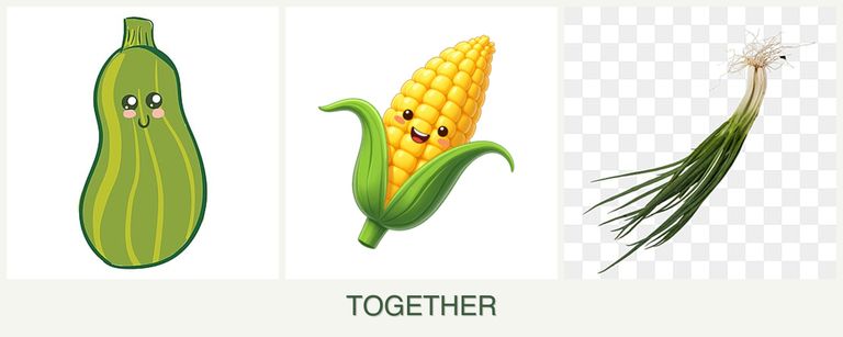Can you plant zucchini, corn and chives together?