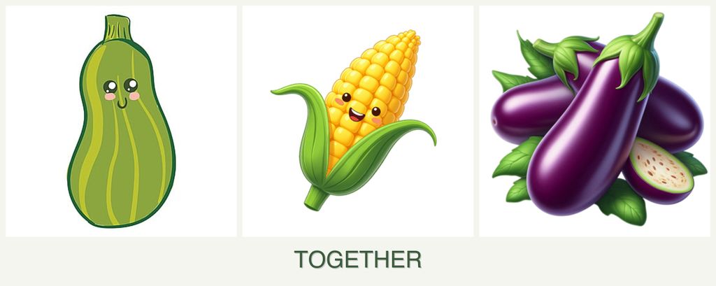Can you plant zucchini, corn and eggplant together?