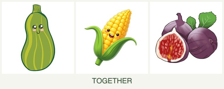 Can you plant zucchini, corn and figs together?