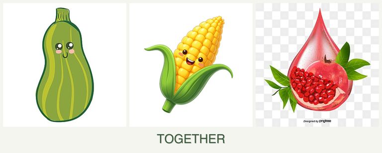 Can you plant zucchini, corn and pomegranates together?