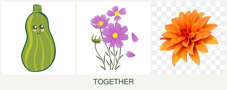 Can you plant zucchini, cosmos and dahlias together?