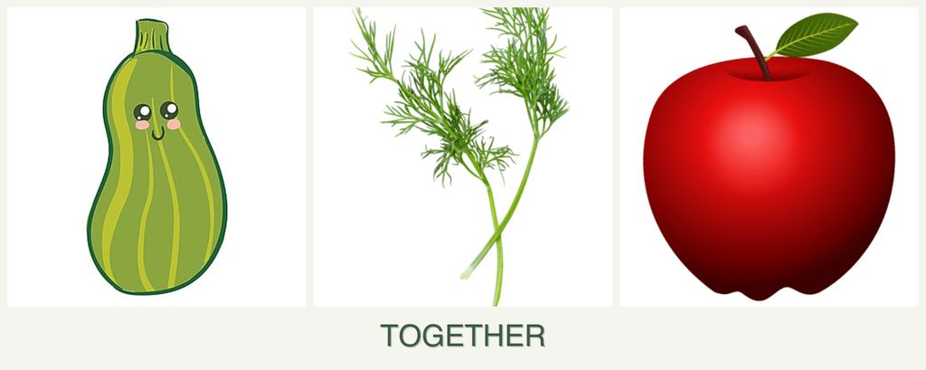Can you plant zucchini, dill and apples together?