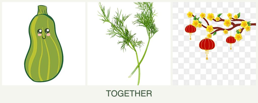 Can you plant zucchini, dill and apricots together?
