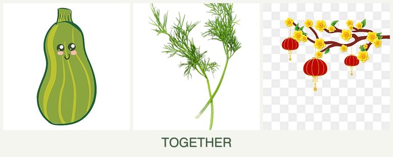 Can you plant zucchini, dill and apricots together?