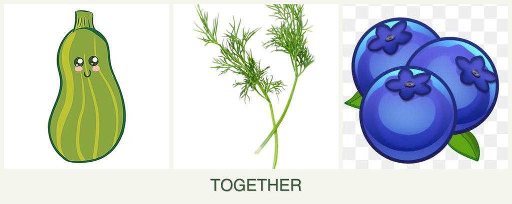 Can you plant zucchini, dill and blueberries together?